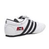 ATA Adidas Taekwondo Shoe Photo 3